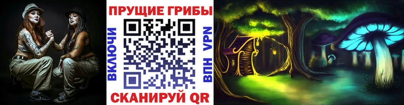 Псилоцибиновые грибы Psilocybe Купить Бавлы